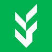 Fitleaf