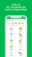 Fitleaf Poster