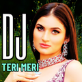 DJ India Teri Meri Remix 2025