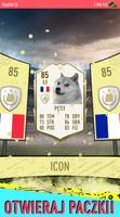 Dogefut 20 plakat