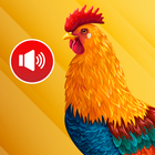 animal ringtones: bird sounds icône