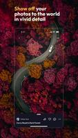 500px الملصق