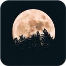 HD Wallpaper APK