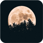 خلفيات بدون انترنت Zeichen