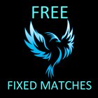 Fixed Matches أيقونة
