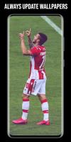 FK Crvena Zvezda Wallpaper تصوير الشاشة 1