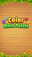 Color Block Puzzle الملصق