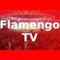 Flamengo TV - Noticias e Jogos em Tempo Real