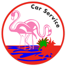 Flamingo Car and Limo Service APK