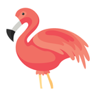 Flamingo Animator ไอคอน