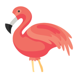 Flamingo Animator 圖標