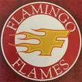 Flamingo Flames