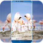 Flamingo Wallpaper HD icône