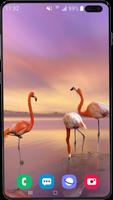Flamingo Wallpaper HD Affiche