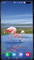 Flamingo Wallpaper HD screenshot 1