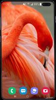 Flamingo Wallpaper HD capture d'écran 2