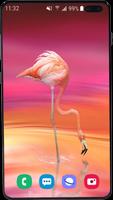 Flamingo Wallpaper HD capture d'écran 3