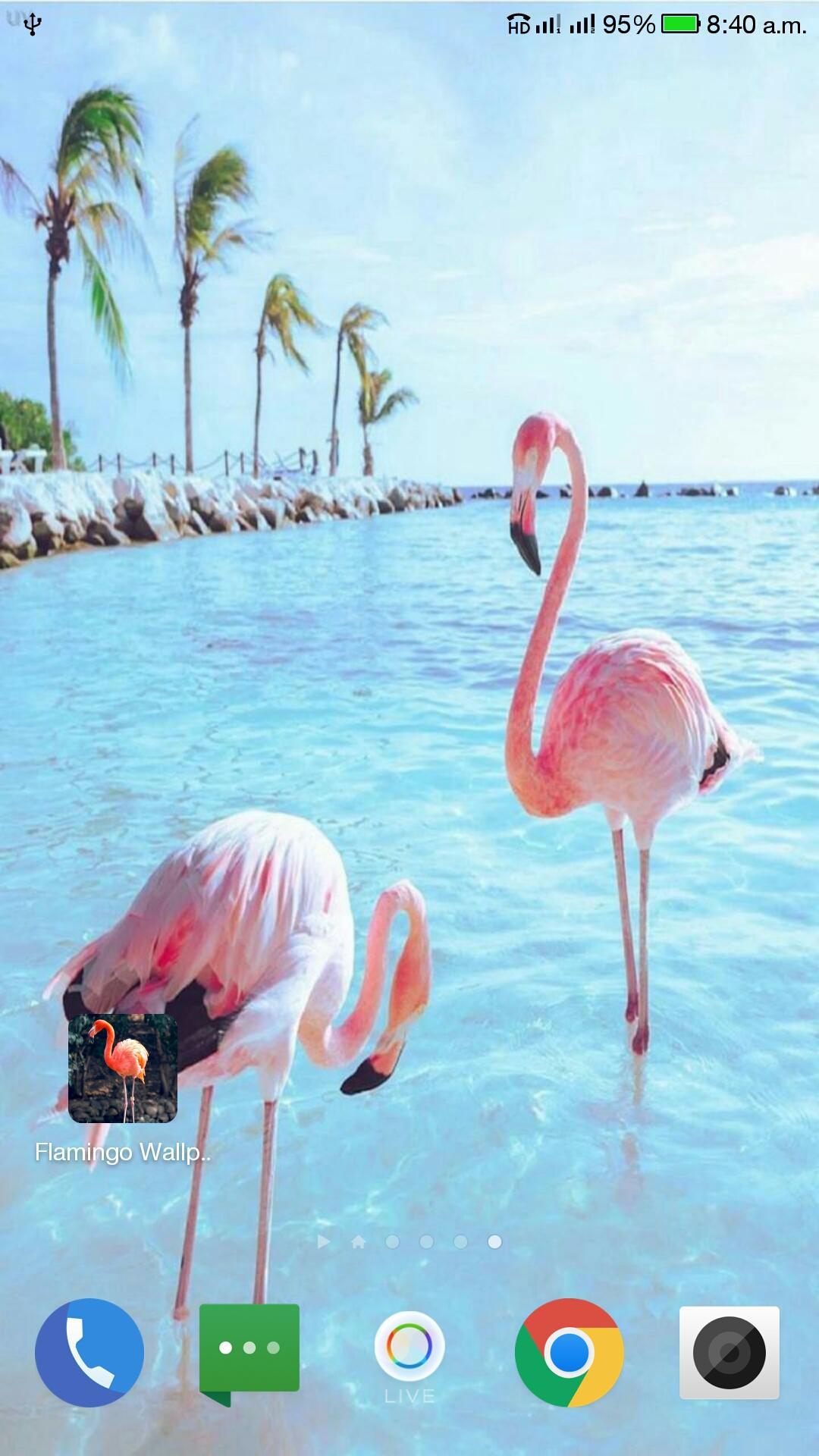Flamingo Sings Flamingo Roblox - music ids for roblox flamingo