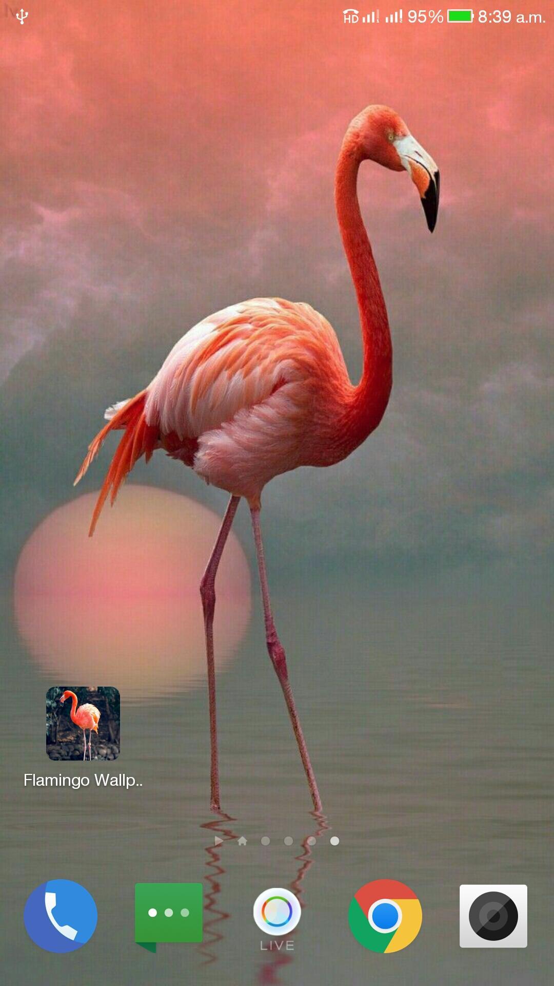 Flamingo Wallpaper Hd For Android Apk Download - roblox flamingo wallpaper