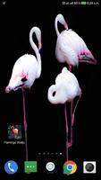 Flamingo Wallpaper HD скриншот 3