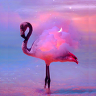 Flamingo Wallpaper icône