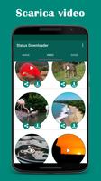 Poster Downloader di stato video