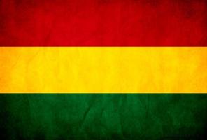 🇧🇴 Bolivia Flag Wallpapers  Bandera de bolivia screenshot 2