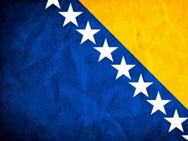 Bosnia Flag 截圖 2