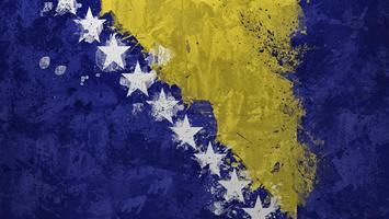 Bosnia Flag 截圖 3