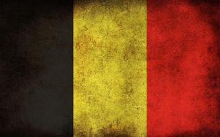 Belgium Flag screenshot 1