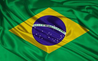 Brazil Flag ポスター