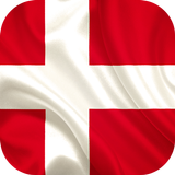 Denmark Flag-icoon