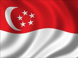 Singapore Flag imagem de tela 2