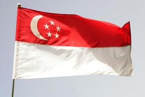 Singapore Flag imagem de tela 3