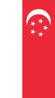 Singapore Flag imagem de tela 1