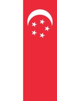 Singapore Flag screenshot 1