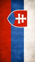 Slovakia Flag পোস্টার