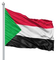 Sudan Flag Wallpapers screenshot 3