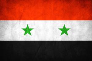 Syria Flag captura de pantalla 1