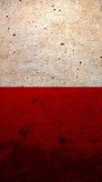 Poland Flag capture d'écran 2