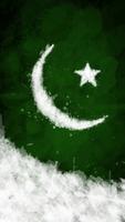 Pakistan Flag Affiche