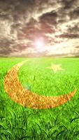 Pakistan Flag imagem de tela 1