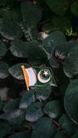 Pakistan Flag screenshot 2