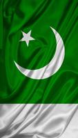 Pakistan Flag captura de pantalla 3