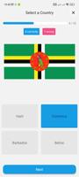 Flags of the World Quiz game 스크린샷 3