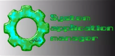System application manager