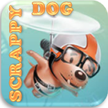 scrappy dog