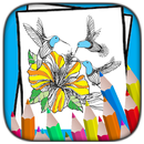 ColorFly | Livro para colorir de pássaros APK