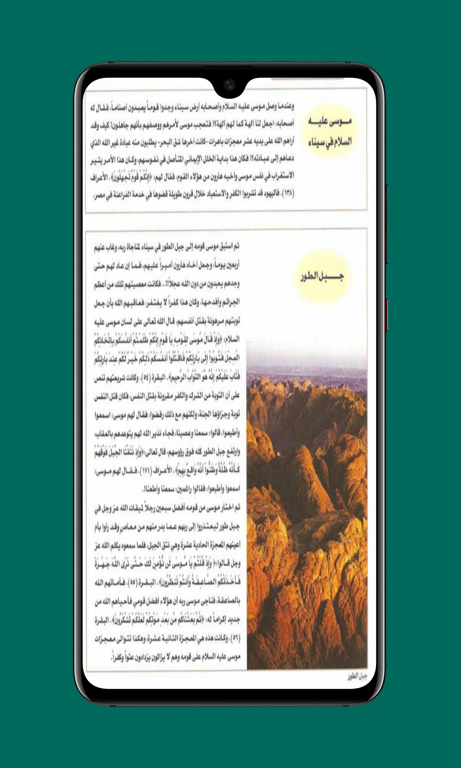 كتاب فلسطين التاريخ المصور 2
