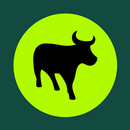 Flash Business APK